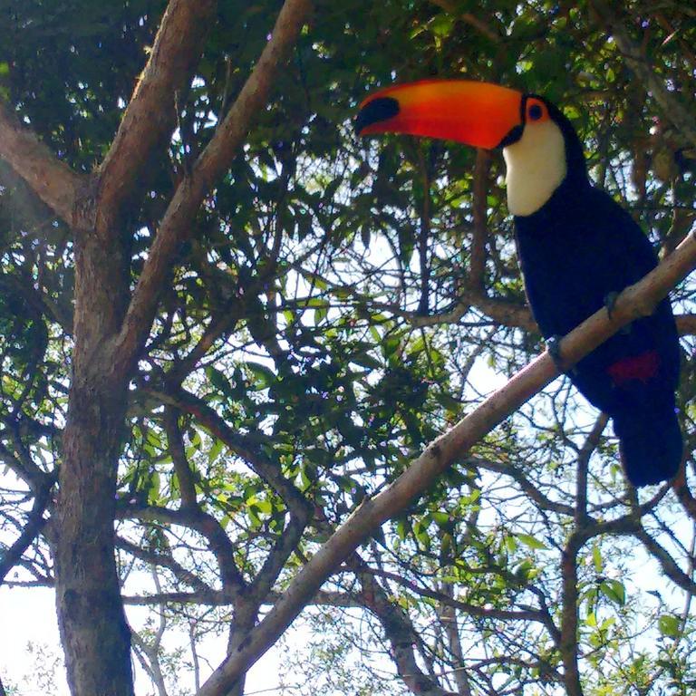 Pousada Tucano Do Cuiaba Itaipava Екстер'єр фото
